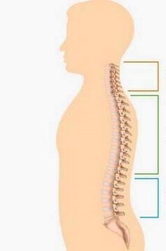 derrota por osteocondrose de diferentes partes da coluna vertebral